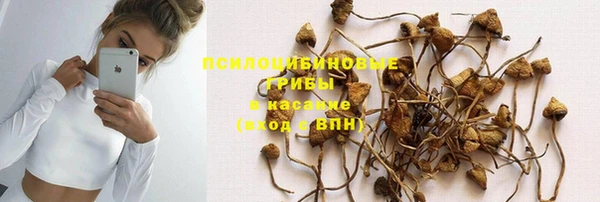 МДПВ Краснослободск