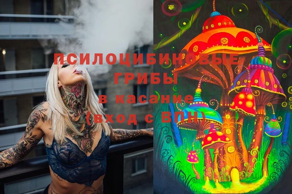 мет Коряжма